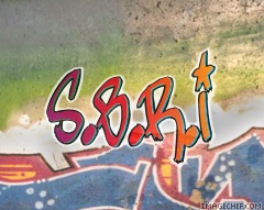 s.b.r.i
